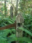 
North Tumbulgum cemetery, New South Wales
