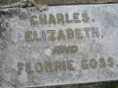 
Charles,
Elizabeth
and
Florrie
GOSS

Nundah  German Station Cemetery: (AlburyBridges relatives)

