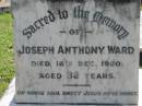 Joseph Anthony WARD,
died 18 Dec 1920 aged 32 years;
Fanny Ethel WARD, mother,
died 22 Oct 1954 aged 63 years;
St James Catholic Cemetery, Palen Creek, Beaudesert Shire