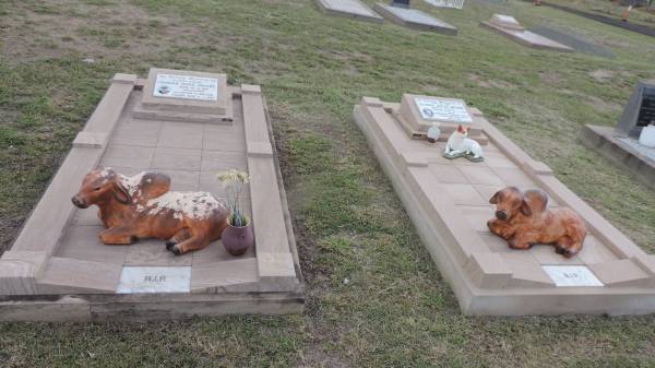 husband:  | Thomas Ross MOORE  | b: 18 Apr 1916, Tullykittah, co Antrim, N. Ireland  | d: 9 Jan 1997  |   | wife:  | Gloria Joyce MOORE  | b: 7 Sep 1941  | d: 27 Jan 2010  |   | constable Maggie Doyle  | (their faithful dog)  | d: Dec 2009  |   | Peak Downs Memorial Cemetery / Capella Cemetery  | 