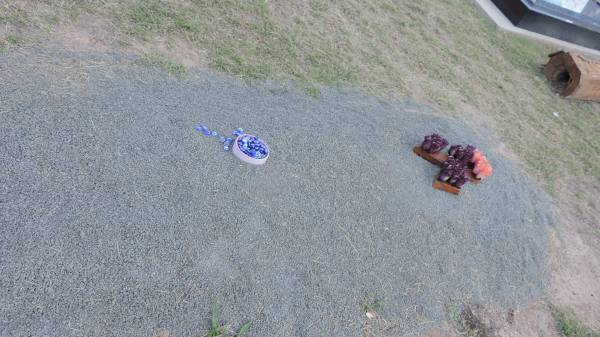   | Peak Downs Memorial Cemetery / Capella Cemetery  | 