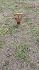 
108

Peak Downs Memorial Cemetery  Capella Cemetery
