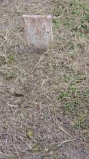 
114

Peak Downs Memorial Cemetery  Capella Cemetery
