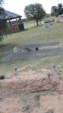 

Peak Downs Memorial Cemetery  Capella Cemetery
