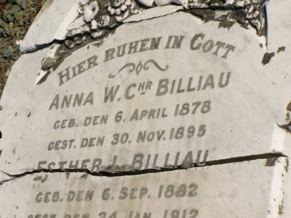 Anna W.Chr. BILLIAU,  | born 6 April 1878,  | died 30 Nov 1895;  | Esther L. BILLIAU,  | born 6 Sept 1882,  | died 24 Jan 1912;  | Heinrich F. BILLIAU,  | born 3 Nov 1893,  | died 30 June 1915;  | Wilhelm F.E. BILLIAU,  | born 17 Nov 1876,  | died 24 Oct 1917;  | Pimpama Island cemetery, Gold Coast  | 
