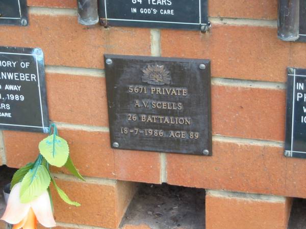 A.V. SCELLS,  | died 18-7-1986 aged 89 years;  | Pimpama Uniting cemetery, Gold Coast  | 