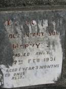 
John Oliver WILLIAMSON,
accidently killed 24 July 1935 aged 28 years;
Mervyn,
infant son,
died 17 Feb 1931 aged 1 year 3 months;
Pimpama Uniting cemetery, Gold Coast
