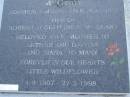 
James Ambra MOBBS,
1904 - 1937;
Florence Catherine Eliza MCGEARY (formerly MOBBS nee PEACHEY),
wife of Robert Joseph (Bob) MCGEARY,
wife & mother of Arthur & Daphne,
4-9-1907 - 27-2-1998;
Pimpama Uniting cemetery, Gold Coast
