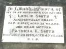 Leslie SMITH, husband father,
accidentally killed 6 Dec 1957 aged 35 years;
Patricia E. SMITH, mother,
died 25 July 1970 aged 47 years;
Pine Mountain Catholic (St Michaels) cemetery, Ipswich