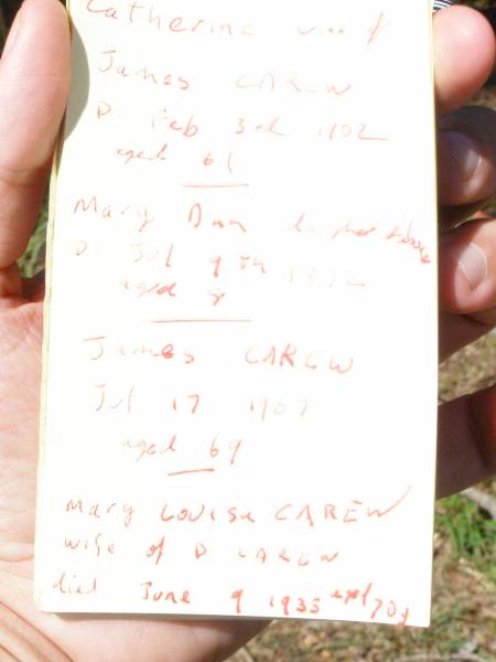 Catherine, wife of James CAREW,  | died 3 Feb 1902 aged 61 years;  | Mary-Ann, daughter,  | died 9 July 1972 aged 8 years;  | James CAREW,  | died 17 July 1907 aged 69 years;  | Mary Louisa CAREW,  | wife of D. CAREW,  | died 9 June 1935 aged 70 years;  | Pine Mountain Catholic (St Michael's) cemetery, Ipswich  | 