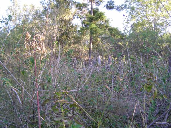 Pine Mountain Congregational Church Cemetery  |   | 