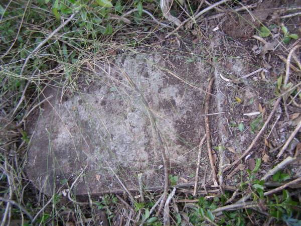 Elizabeth ?  | aged 7?  |   | Pine Mountain Congregational Church Cemetery  |   | Transcription by Katie Mead 1991  |   | Sacred  | to the memory of  | Elizabeth Cox  | who died September 23rd 1885  | Aged 76 years  |   | (Elizabeth is the Betsy after whom Betsy's bush is named).  | 