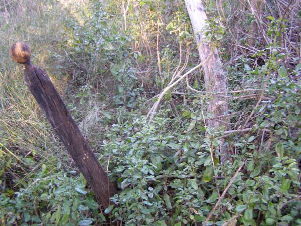 Pine Mountain Congregational Church Cemetery  | 