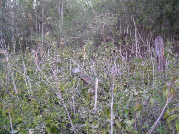 Pine Mountain Congregational Church Cemetery  | 