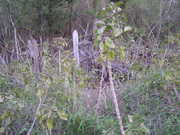 Pine Mountain Congregational Church Cemetery  | 