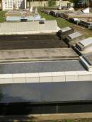 Polson Cemetery, Hervey Bay