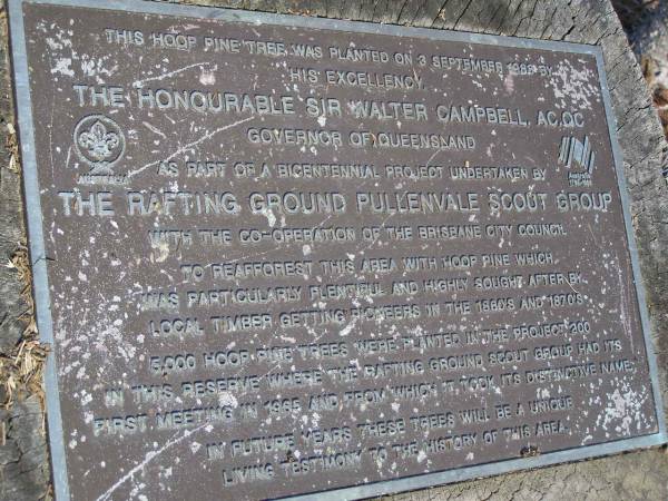 Pullenvale Rafting Ground reserve  | <a href= hooppine.html >Hoop pine planting by the Rafting Ground Pullenvale Scout Group</a>  |   | 