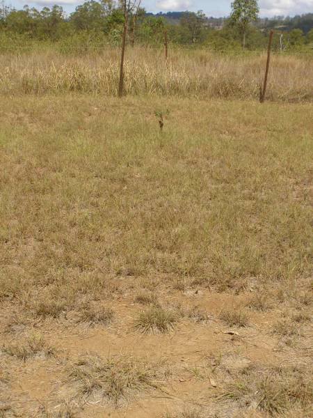 Ravensbourne cemetery, Crows Nest Shire  | 