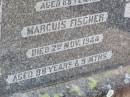 
Albertina FISCHER, mother,
died 1 July 1924 aged 68 years;
Marcuis FISCHER, father,
died 2 Nov 1944 aged 88 years 9 months;
Rosevale St Pauls Lutheran cemetery, Boonah Shire
