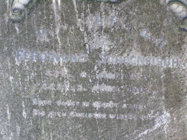 Ferdinand SCHOENFISCH,  | born 6 May 1836,  | died 2 April 1895;  | Rosevale St Paul's Lutheran cemetery, Boonah Shire  | 