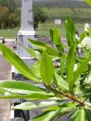 
Samsonvale Cemetery, Pine Rivers Shire
