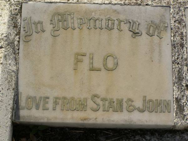 John H. JONES,  | son brother,  | accidentally drowned Virginia  | 7 Oct 1929 aged 12 years;  | Flo,  | love from Stan & John;  | Dad,  | from Mum, Marc & Jack;  | Marcia;  | Mum;  | Jess,  | love from Alf;  | Bald Hills (Sandgate) cemetery, Brisbane  |   | 