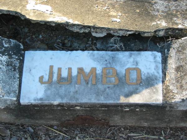 James J. (Jumbo) RYAN,  | died 25 July 1940 aged 21 years;  | John Joseph Sinclair RYAN,  | died 25 March 1942 aged 67 years;  | Bald Hills (Sandgate) cemetery, Brisbane  | 