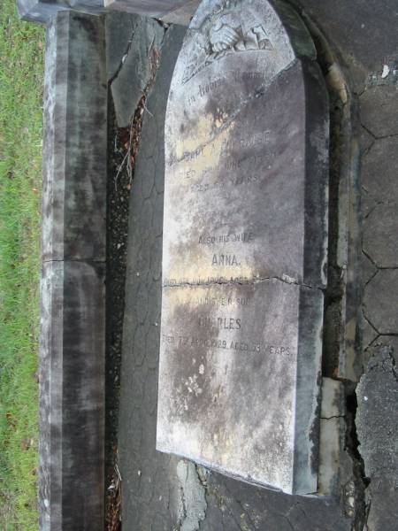 Carl A.F. KRAUSE,  | husband father,  | died 6 June 1920 aged 63 years;  | Anna,  | wife,  | died 4 July 1936 aged 82 years;  | Charles,  | son,  | died 7 April 1929 aged 53 years;  | Bald Hills (Sandgate) cemetery, Brisbane  | 