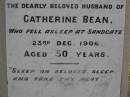 Joseph Henry BEAN,
husband of Catherine BEAN,
died Sandgate 23 Dec 1906 aged 50 years;
Catherine BEAN,
born York England 20 Feb 1855,
died 1 Sept 1922;
Ethel Mary BEAN,
died 18 Sept 1966 aged 81 years;
Bald Hills (Sandgate) cemetery, Brisbane