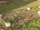 Bald Hills (Sandgate) cemetery, Brisbane