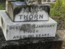 Agnes THORN,
died 10 Jan 1920 aged 60 years;
Bald Hills (Sandgate) cemetery, Brisbane