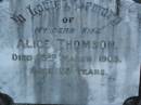 Alice THOMSON,
wife,
died 23 March 1903 aged 28 years;
Bald Hills (Sandgate) cemetery, Brisbane