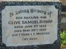 Clive Samuel BISHOP,
son,
born 3 June 1935,
died 20 May 1937 aged 1 year 1 12 months;
Frederick George BISHOP,
father,
died 25-2-63 aged 73 years;
Rebecca Magdalene BISHOP,
died 26-3-56 aged 52 years;
Valma Gloria HOOPER,
born 18-6-24,
died 23-10-65;
Alan Leonard Charles HOOPER,
born 10-3-19,
died 1-2-78;
Bald Hills (Sandgate) cemetery, Brisbane