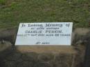 Charlie PERKIN,
brother,
died 17 Sept 1951 aged 69 years;
Bald Hills (Sandgate) cemetery, Brisbane