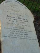 Johanna MULLER,
wife,
died 19 Aug 1914 aged 81 years;
Carl,
husband,
born 5 Nov 1831,
died 11 July 1923
aged 91 years 8 months;
Bald Hills (Sandgate) cemetery, Brisbane