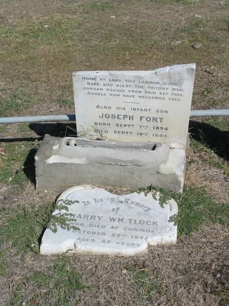 Harry Whitlock Oct 22 1895 aged 42  | Joseph Fort (Born Sep 7 1894, Died Sep 19 1894)  | Anglican Cemetery, Sherwood.  |   |   | 