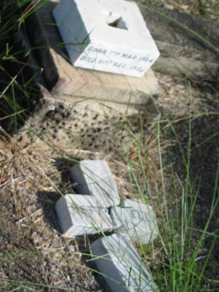 ?ETT > ?ELL  | Born: 7 Mar 1904  | Died 21 Dec 1905  | Anglican Cemetery, Sherwood.  |   |   | 