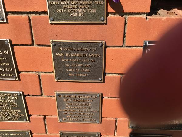 Ann Elizabeth COOK  | d: 16 Jan 2010 aged 62  |   | Sherwood (Anglican) Cemetery, Brisbane  |   |   | 