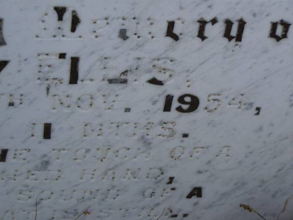 baby ELLIS,  | died 13 Nov 1954 aged 11 months;  | Silverleigh Lutheran cemetery, Rosalie Shire  | 