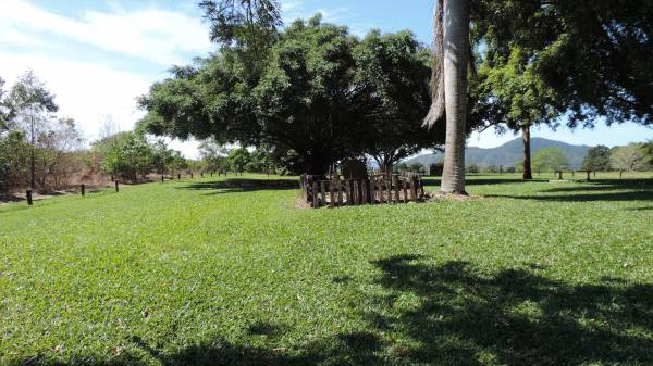 Cardwell Cemetery  | 