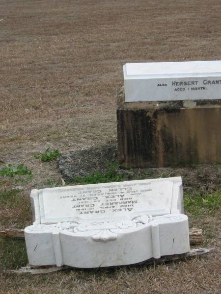 Alex GRANT  | 10 Apr 1881  | Margaret GRANT  | 25 Oct 1881  | Alex GRANT  | 4 Jul 1916, aged 71  | Ellen GRANT  | 8 Jun 1925 aged 74  | Herbert GRANT  | aged 1 month  | Stone Quarry Cemetery, Jeebropilly, Ipswich  | 