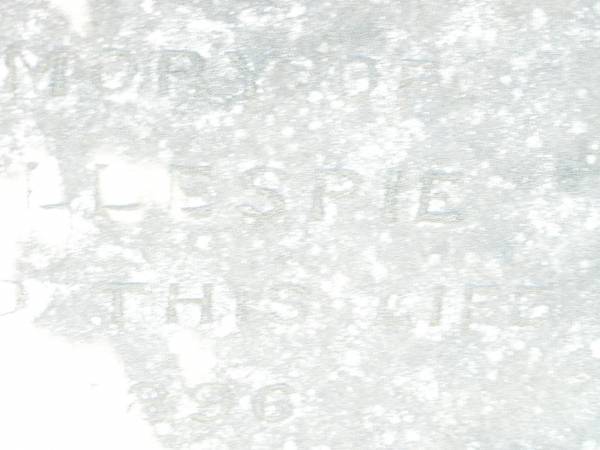 Leonard GILLESPIE,  | died 28 August 1883 aged 62 years;  | Harriette May,  | died 27 Aug 1936 aged 67 years;  | Sarah GILLESPIE,  | died 19 Feb 1896 aged 72 years;  | Catherine GILLESPIE,  | died 13 July 1900 aged 45 years;  | Richard GILLESPIE,  | died 23 November 1917 aged 51? years;  | Swan Creek Anglican cemetery, Warwick Shire  | 