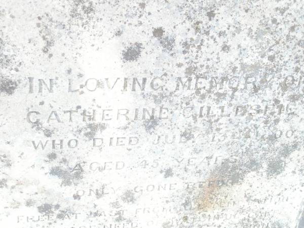 Leonard GILLESPIE,  | died 28 August 1883 aged 62 years;  | Harriette May,  | died 27 Aug 1936 aged 67 years;  | Sarah GILLESPIE,  | died 19 Feb 1896 aged 72 years;  | Catherine GILLESPIE,  | died 13 July 1900 aged 45 years;  | Richard GILLESPIE,  | died 23 November 1917 aged 51? years;  | Swan Creek Anglican cemetery, Warwick Shire  | 