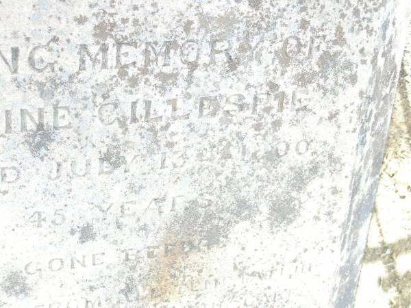 Leonard GILLESPIE,  | died 28 August 1883 aged 62 years;  | Harriette May,  | died 27 Aug 1936 aged 67 years;  | Sarah GILLESPIE,  | died 19 Feb 1896 aged 72 years;  | Catherine GILLESPIE,  | died 13 July 1900 aged 45 years;  | Richard GILLESPIE,  | died 23 November 1917 aged 51? years;  | Swan Creek Anglican cemetery, Warwick Shire  | 