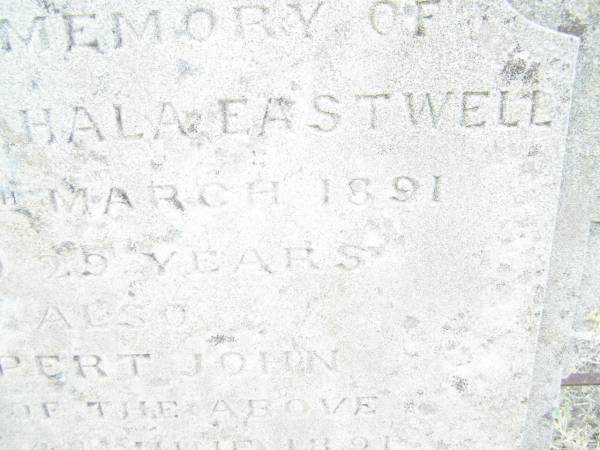 Harriet Mahala EASTWELL,  | died 4 March 1891 aged 29 years;  | Rupert John,  | son,  | died 8 June 1891 aged 3 years 9 months;  | Swan Creek Anglican cemetery, Warwick Shire  | 