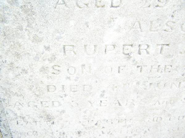 Harriet Mahala EASTWELL,  | died 4 March 1891 aged 29 years;  | Rupert John,  | son,  | died 8 June 1891 aged 3 years 9 months;  | Swan Creek Anglican cemetery, Warwick Shire  | 