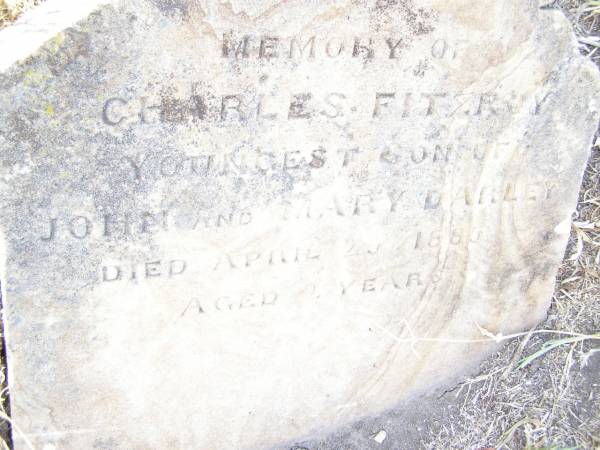 Charles Fitzroy,  | youngest son of John & Mary DARLEY,  | died 26? April 1885 aged 2 years;  | Swan Creek Anglican cemetery, Warwick Shire  | 