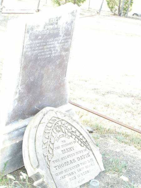 Henry ALLEN,  | died 26 Dec 1897 aged 70 years 9 months;  | Anne ALLEN,  | wife,  | born 31 Oct 1821  | died 15 Oct 1899 aged 78 years;  | Mary,  | wife of Thomas DAVIS,  | died 26 Jan 1894 aged 41 years;  | Thomas Llewellyn,  | died 14 Nov 1893 aged 5 months;  | Swan Creek Anglican cemetery, Warwick Shire  | 