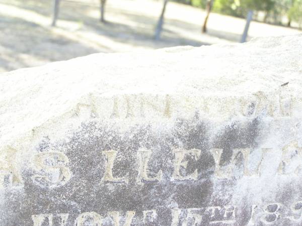 Henry ALLEN,  | died 26 Dec 1897 aged 70 years 9 months;  | Anne ALLEN,  | wife,  | born 31 Oct 1821  | died 15 Oct 1899 aged 78 years;  | Mary,  | wife of Thomas DAVIS,  | died 26 Jan 1894 aged 41 years;  | Thomas Llewellyn,  | died 14 Nov 1893 aged 5 months;  | Swan Creek Anglican cemetery, Warwick Shire  | 