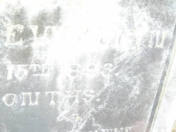 Henry ALLEN,  | died 26 Dec 1897 aged 70 years 9 months;  | Anne ALLEN,  | wife,  | born 31 Oct 1821  | died 15 Oct 1899 aged 78 years;  | Mary,  | wife of Thomas DAVIS,  | died 26 Jan 1894 aged 41 years;  | Thomas Llewellyn,  | died 14 Nov 1893 aged 5 months;  | Swan Creek Anglican cemetery, Warwick Shire  | 